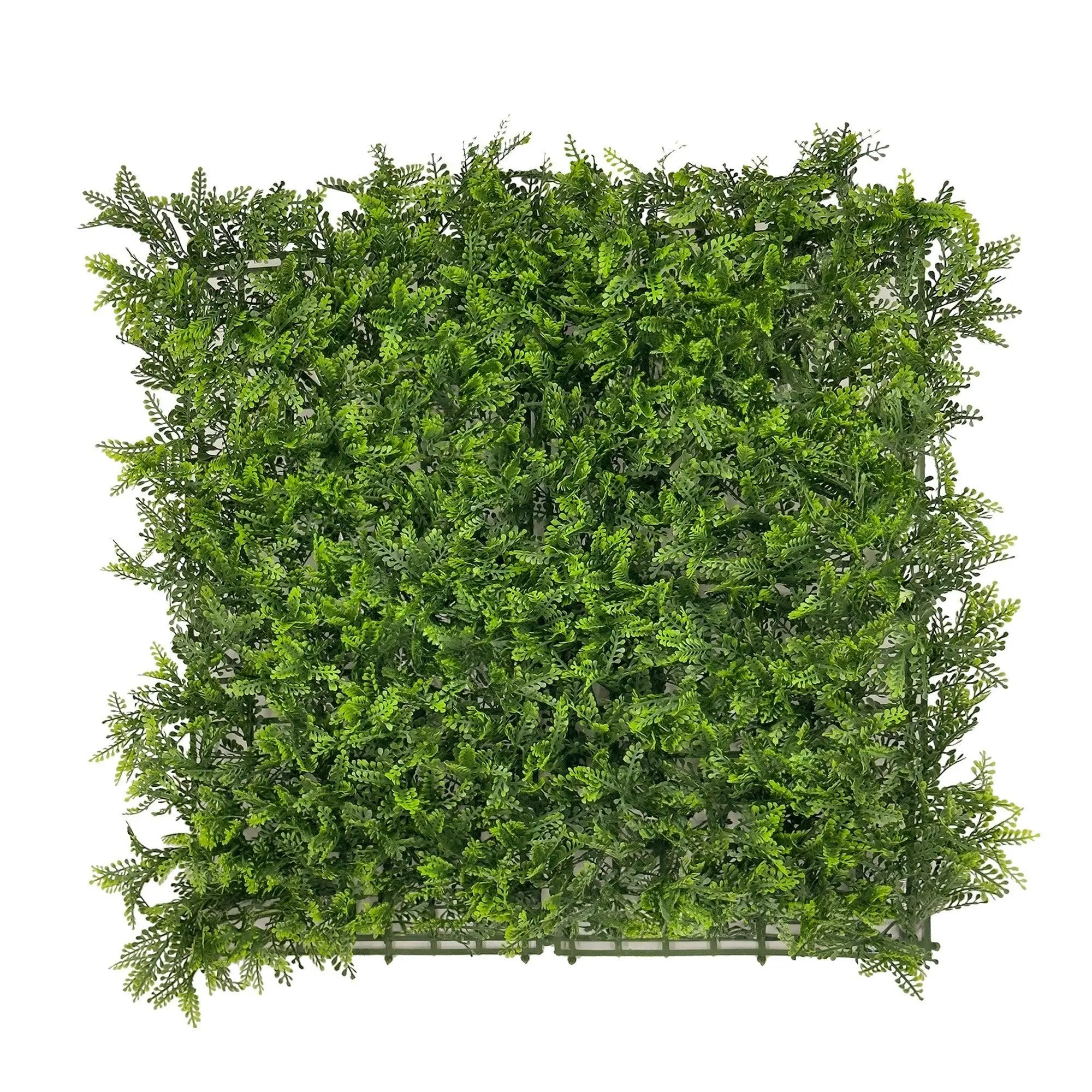 Artificial Hedge Tile (UV Treated) - Mimosa Fern 50x50cm