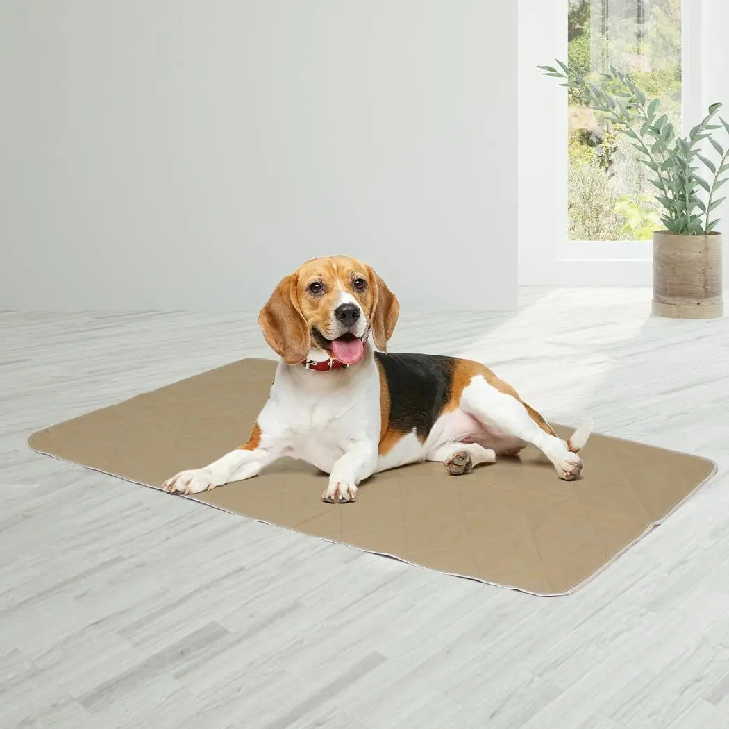 Pawz 2 Pcs 60x90 cm Reusable Waterproof Pet Puppy Toilet Training Pads L - Pets