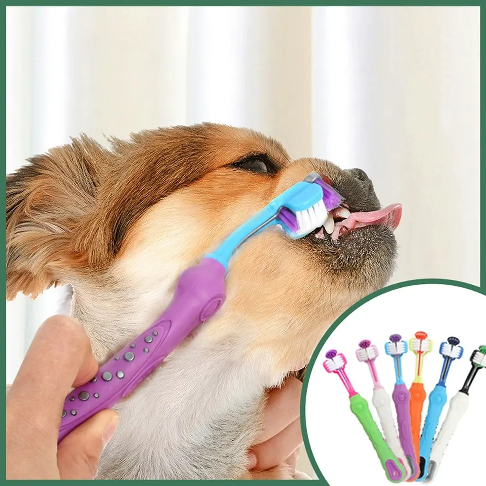 5 Pack Three Sided Pet Toothbrush Three-Head Multi-Angle Toothbrush Clean Tool