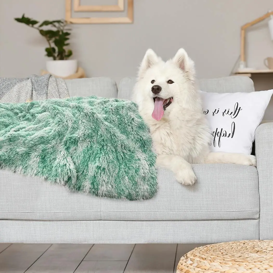 Pawz Dog Blanket Pet Cat Mat Puppy Warm Soft Plush Washable Reusable Large Teal - Pets