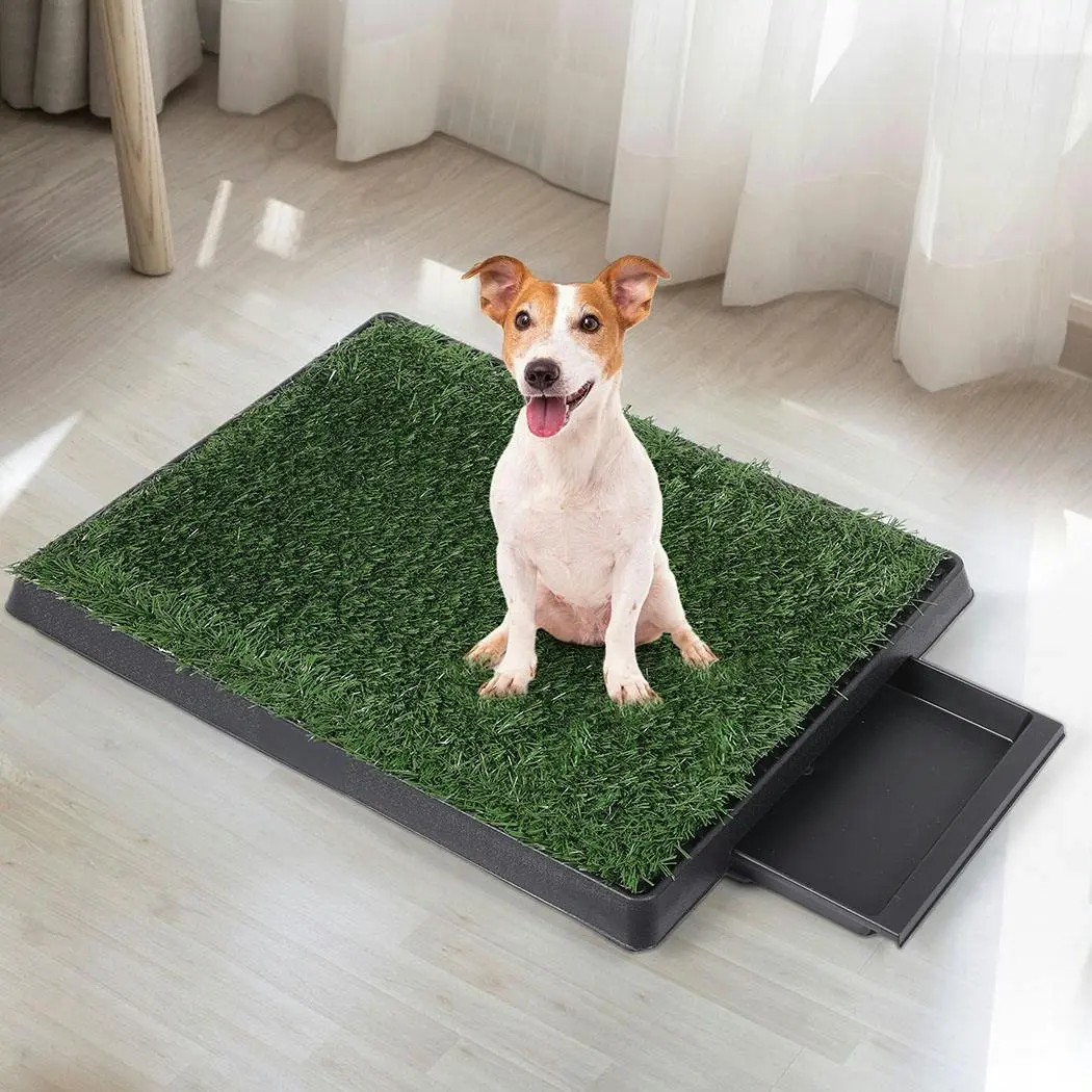 Pawz Indoor Dog Potty Training Tray Pet Grass Toilet Loo 2x Mat Large Portable - Pets