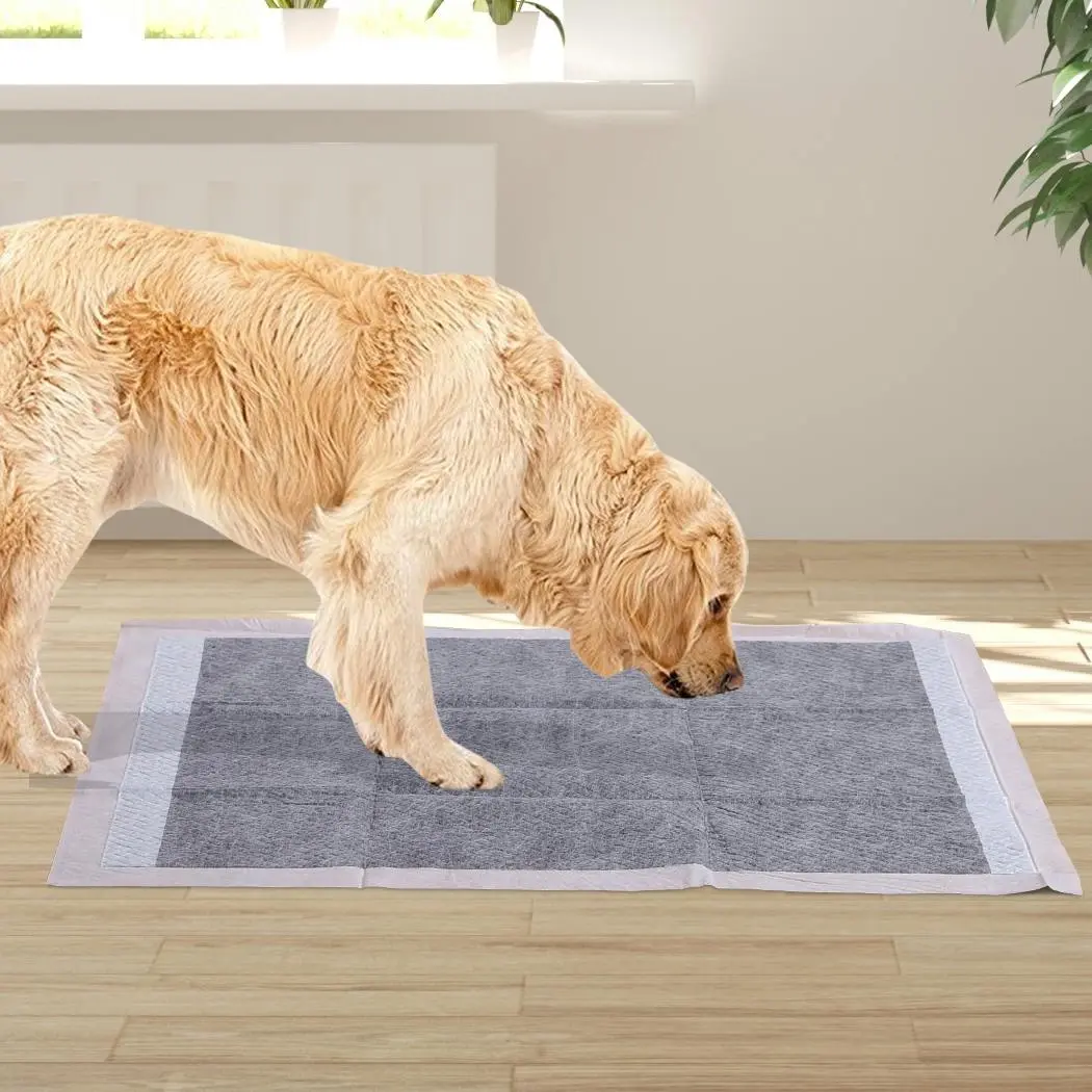 Pawz 400Pcs 60x60cm Charcoal Pet Puppy Dog Toilet Training Pads Ultra Absorbent - Pets