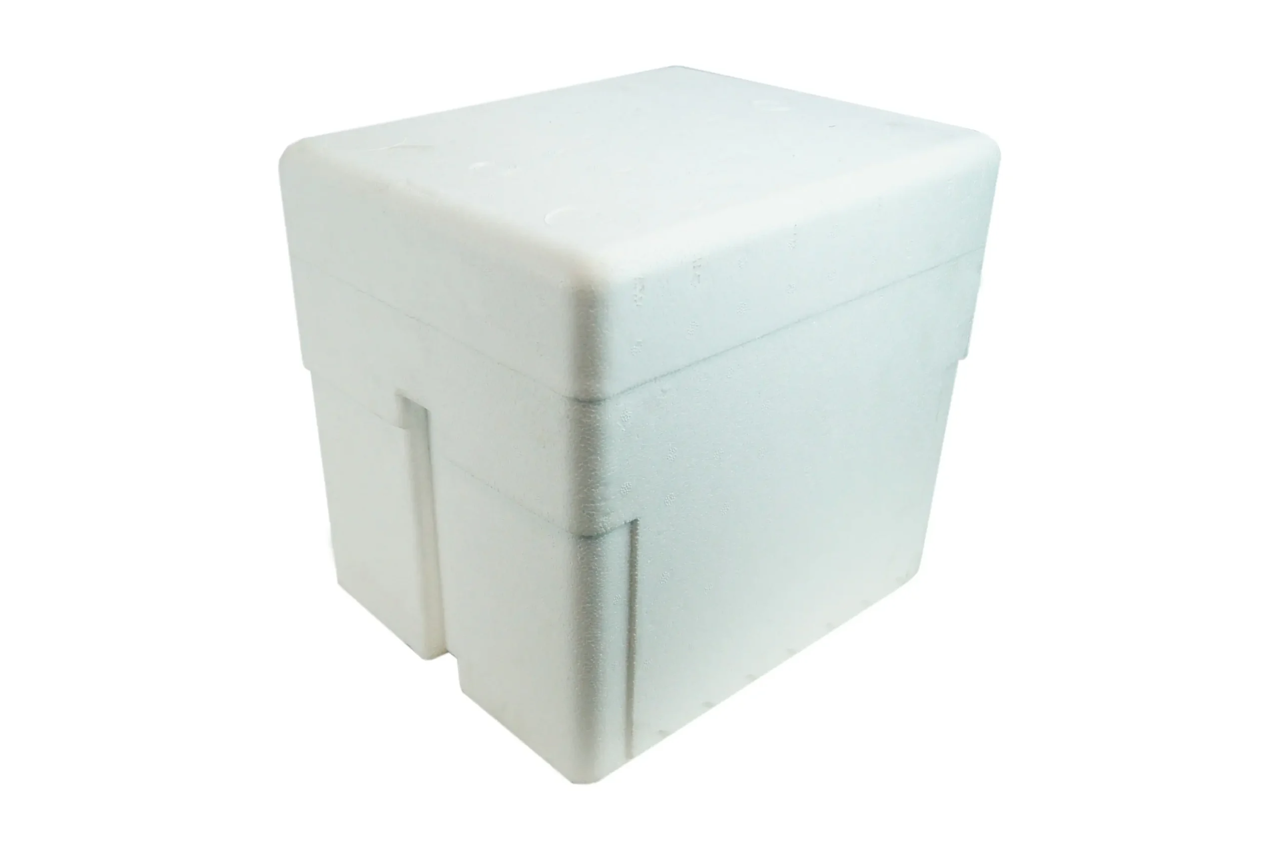 Foam Cooler Box with Lid 10L 305 x 250 x 285mm - Health
