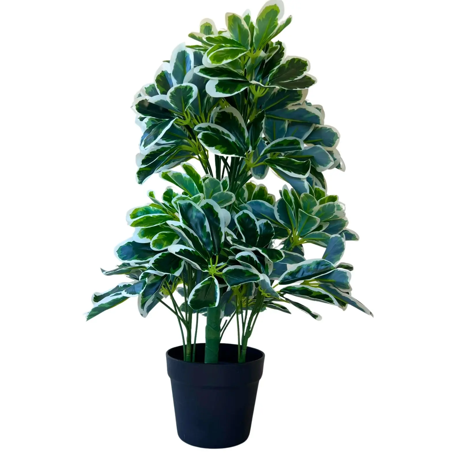 Artificial Umbrella Plant Variegated 60cm Black Pot - Home & Garden