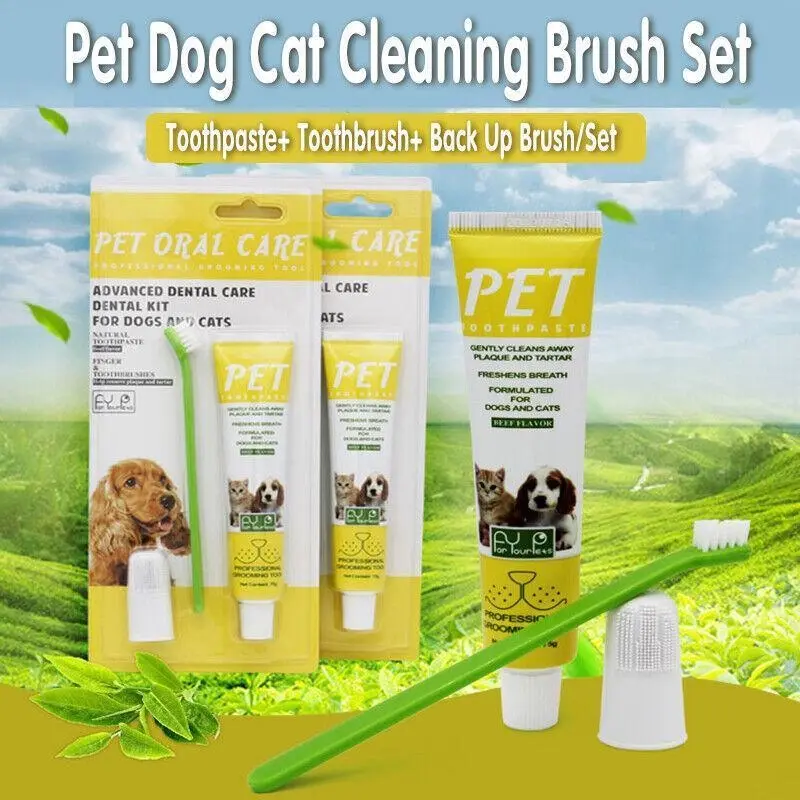 Pet Dog Cat Toothpaste and Toothbrush Set Beef Flavor - Save up to 70% Off Pet Supplies