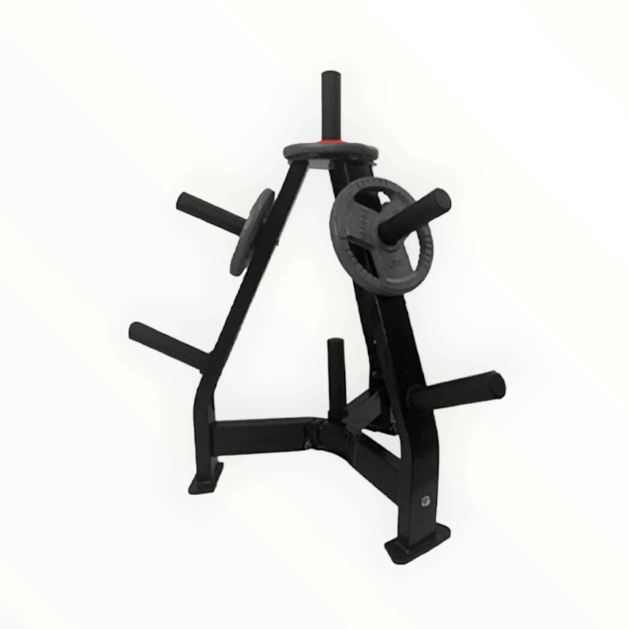 Vertical Weight Plate Rack - Sports & Outdoor