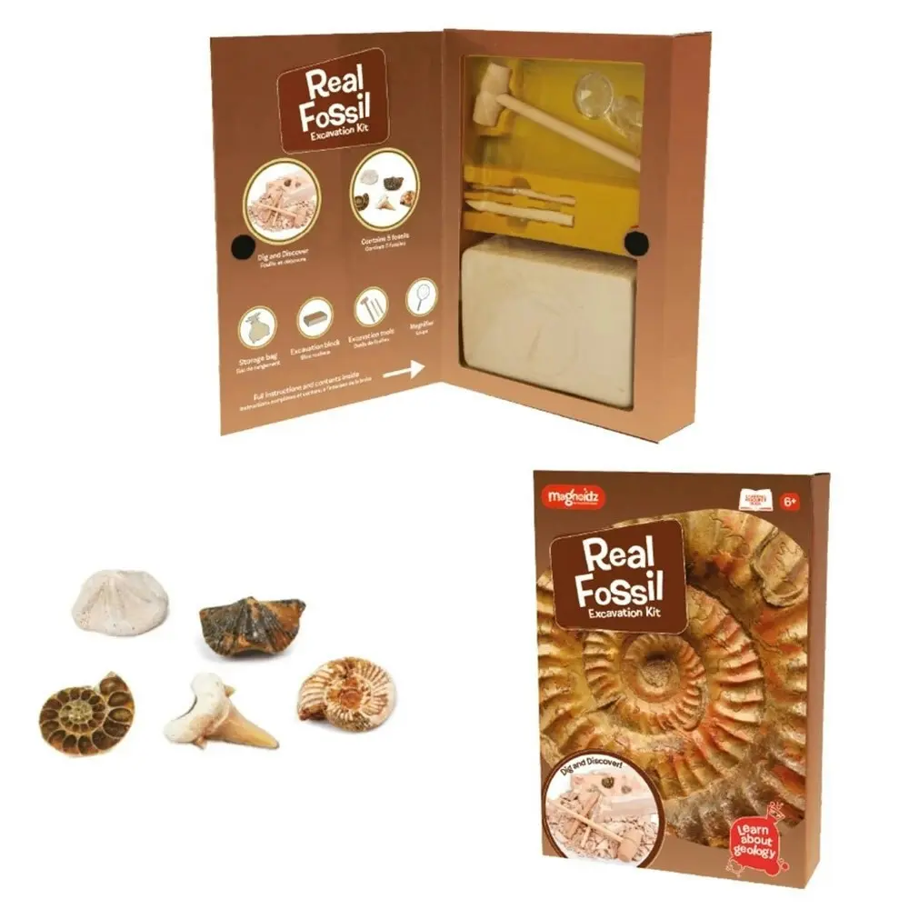 Magnoidz Fossil Dig Kit Kids/Children Educational Science Paleontology Toy 6y+ - Toys & Games