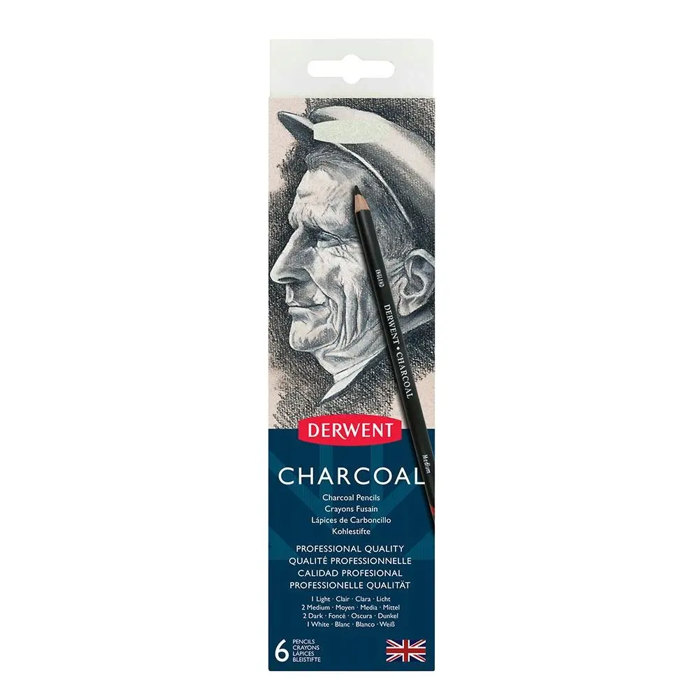 6PK Derwent Professional Artist Charcoal Drawing/Colouring/Art Pencils w/ Tin - Office