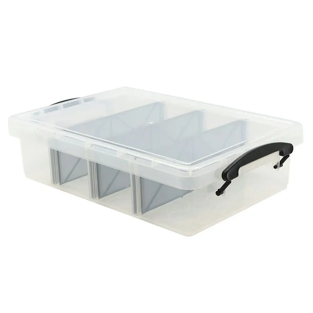 Boxsweden 6L Compartment Storer 4 Section Storage Organiser Container Box Clear - Home & Garden