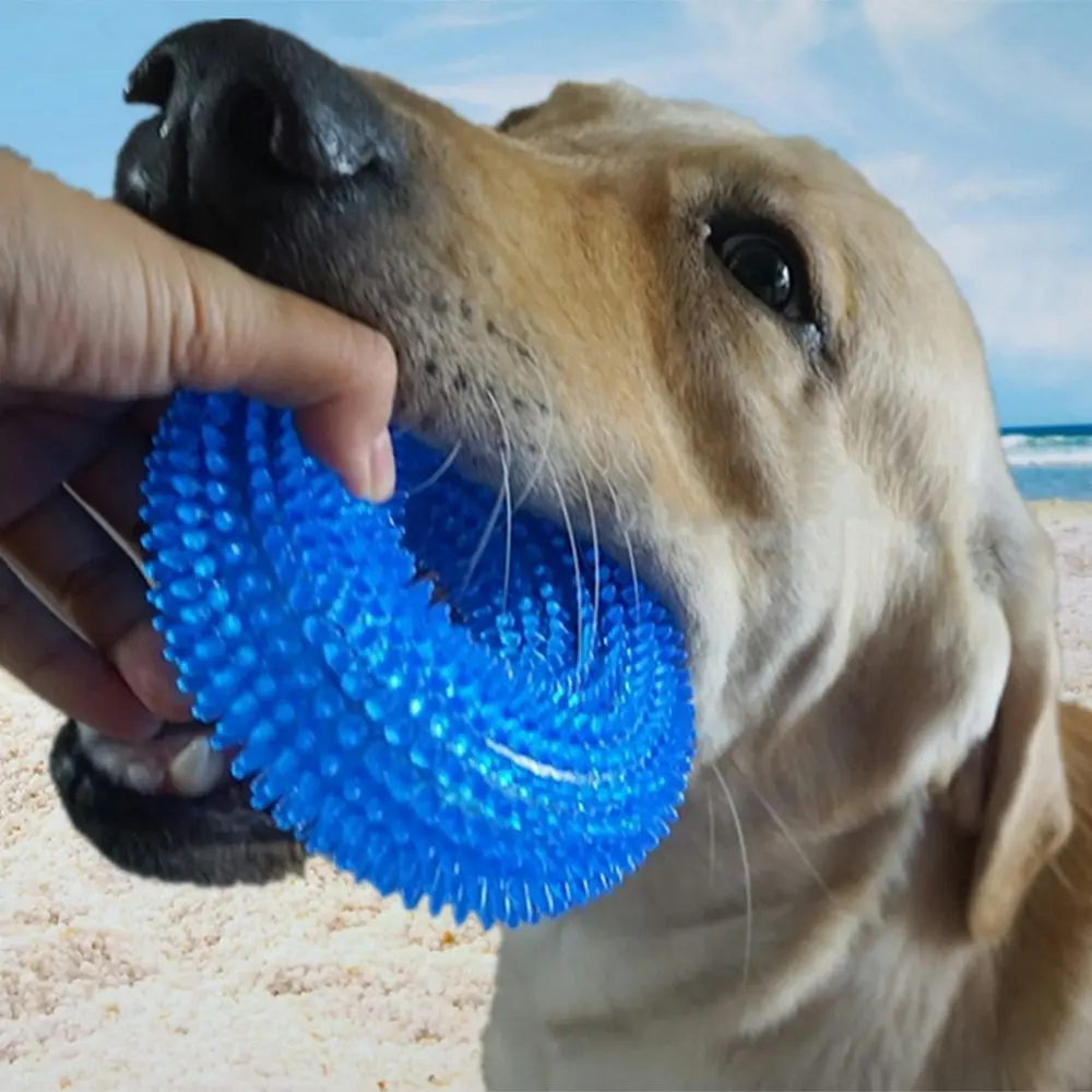 Durable Dog Squeaky Chew Toys for Chewers Dental Teething Cleaning - Pets