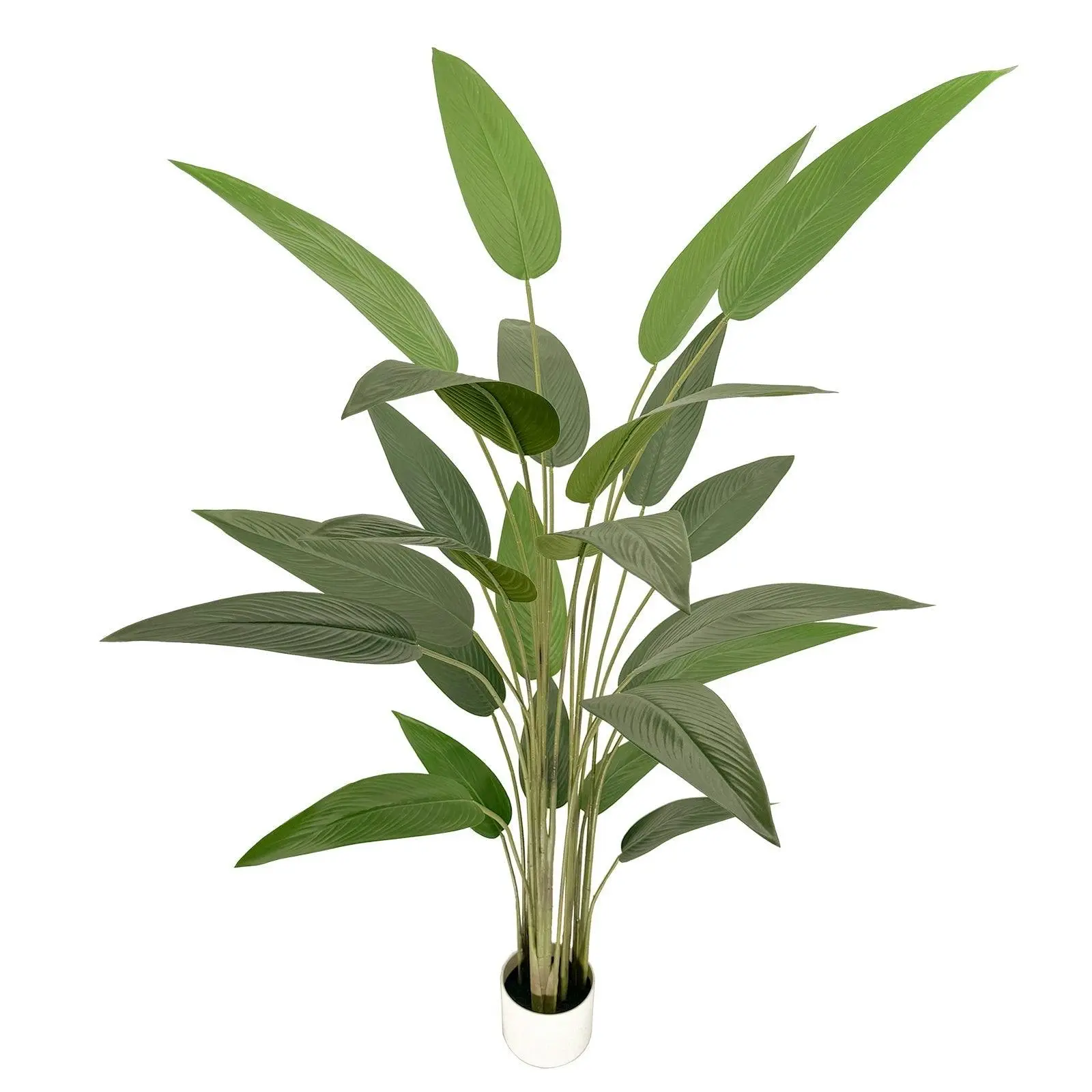Bird of Paradise Tree 180cm (UV-treated)