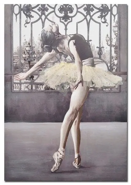 Ballerina Hand Painting Picture with Tulle Dress - Home & Garden