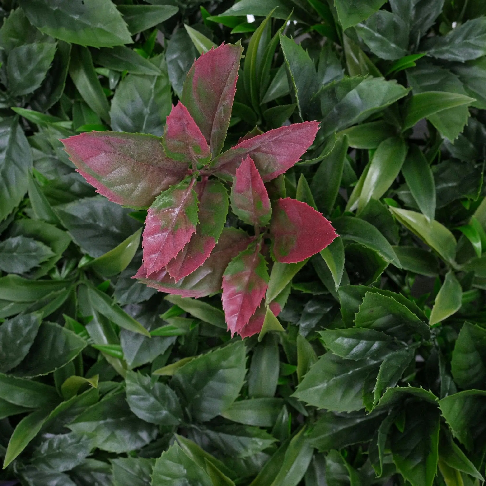 Artificial Hedge Tile (UV Treated) - Urban Delight 100x100cm