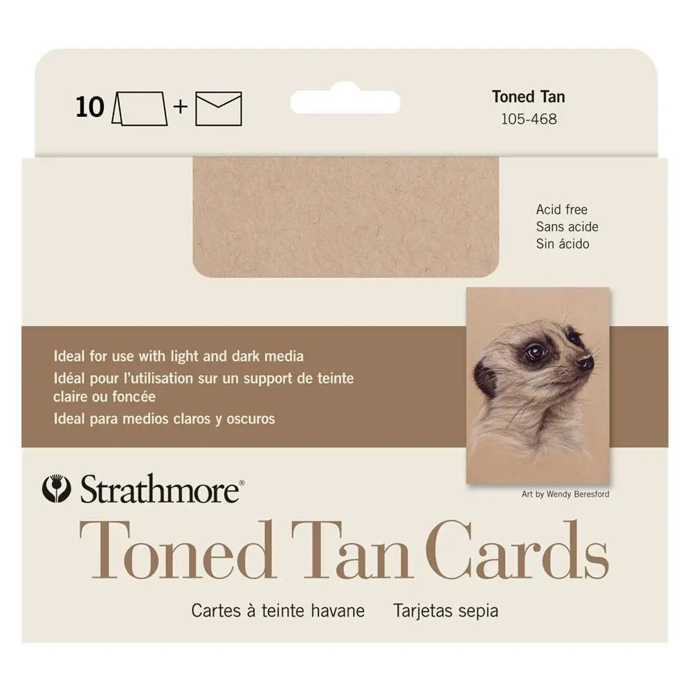 10pc Strathmore 400 Series Toned Arts And Craft Drawing Cards + Envelopes Tan - Hobbies