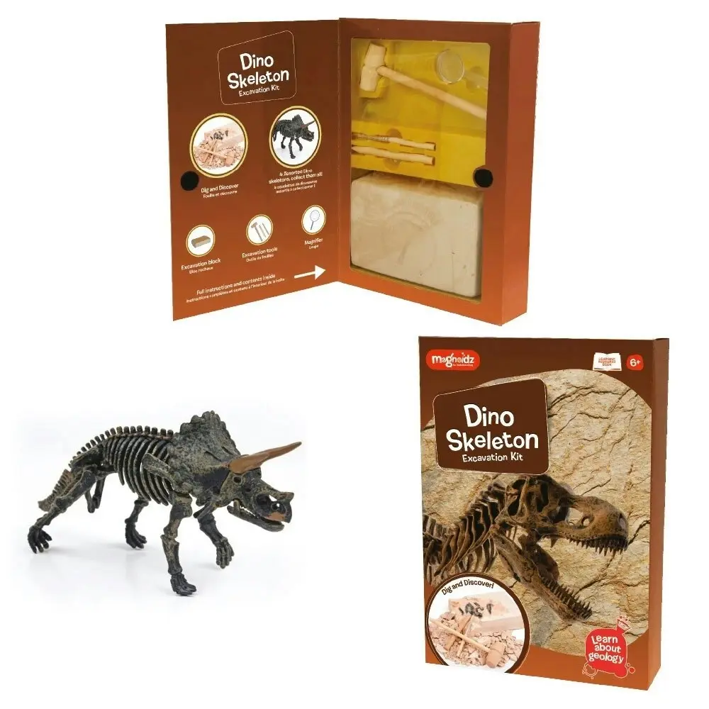 Magnoidz Dino Skeleton Excavation Kit Kids/Children Dinosaur Digging Toy 6y+ - Toys & Games
