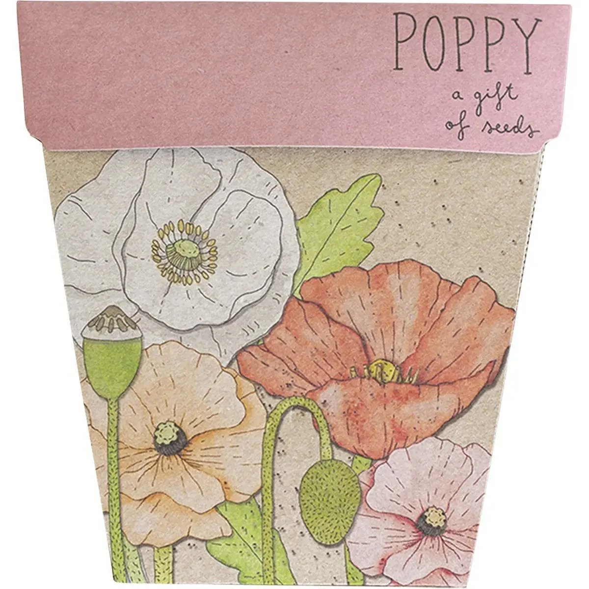 SOW 'N SOW Gift Of Seeds Poppy 1 - Home & Garden