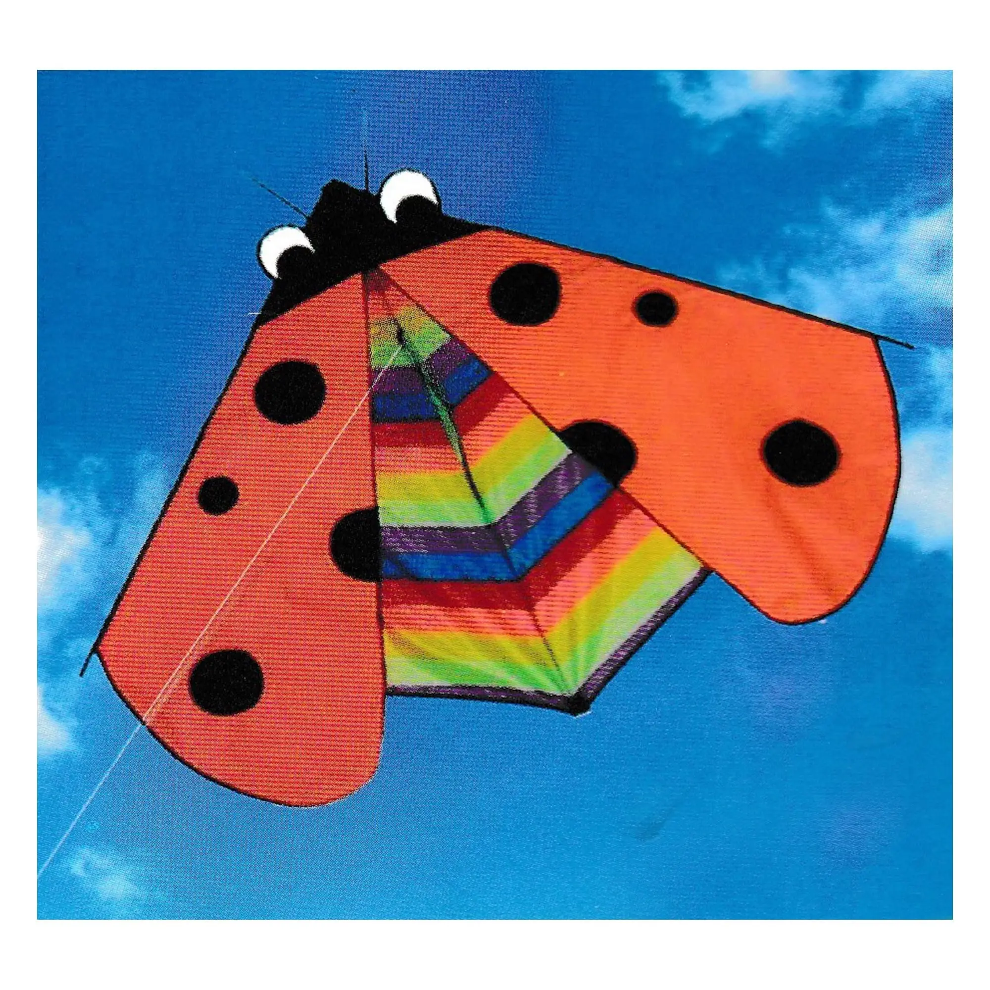 Q-KITE - Ladybug