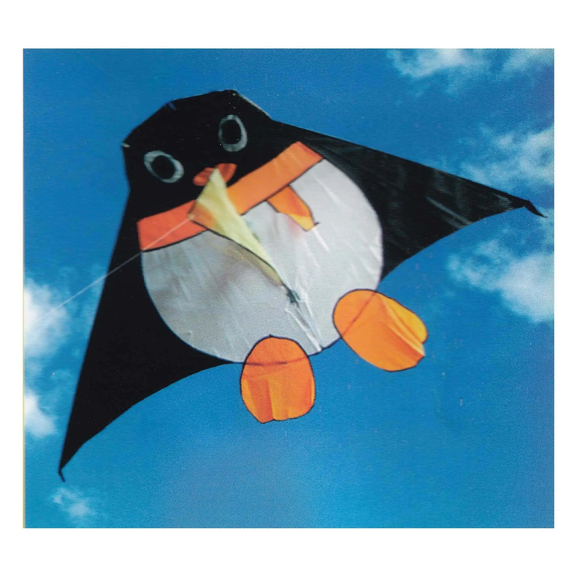Q-KITE - Penguin