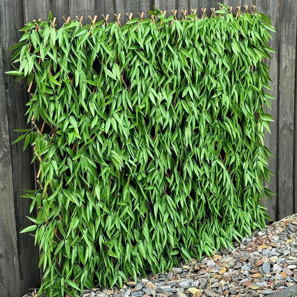 Expanding Trellis (UV Treated) - Bamboo Leaves 180x90cm