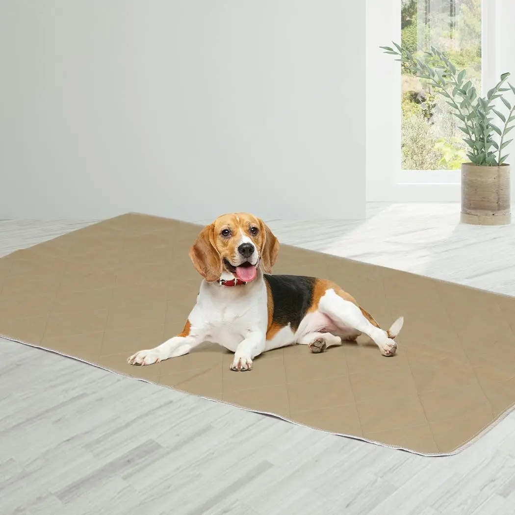 Pawz 2 Pcs 90x90 cm Reusable Waterproof Pet Puppy Toilet Training Pads XXL - Pets