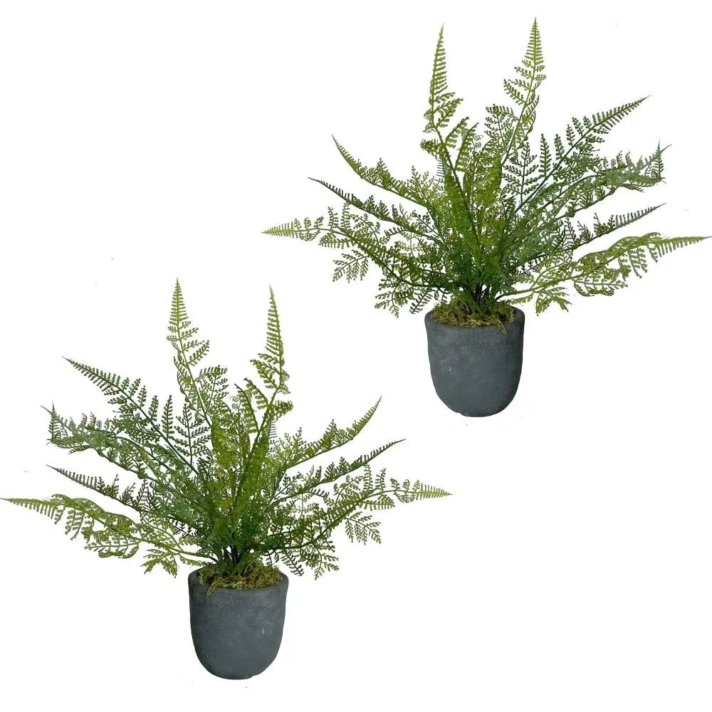 Glamorous Fusion Set Of 2 Potted Ruffle Fern Artificial Faux Plant Decorative Green - Home & Garden