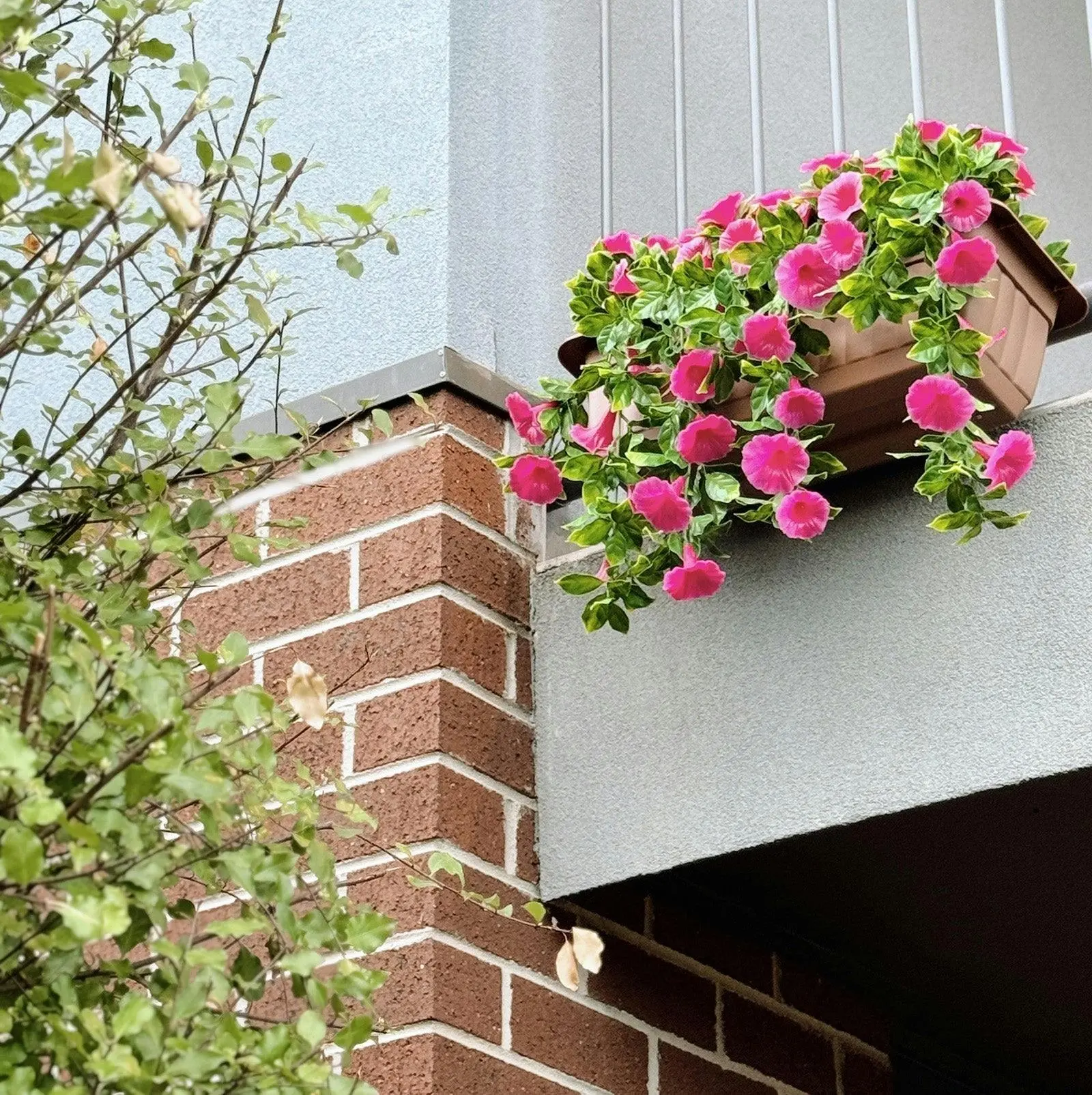 Petunia Balcony Planter Box (UV Treated) - Pink 50cm