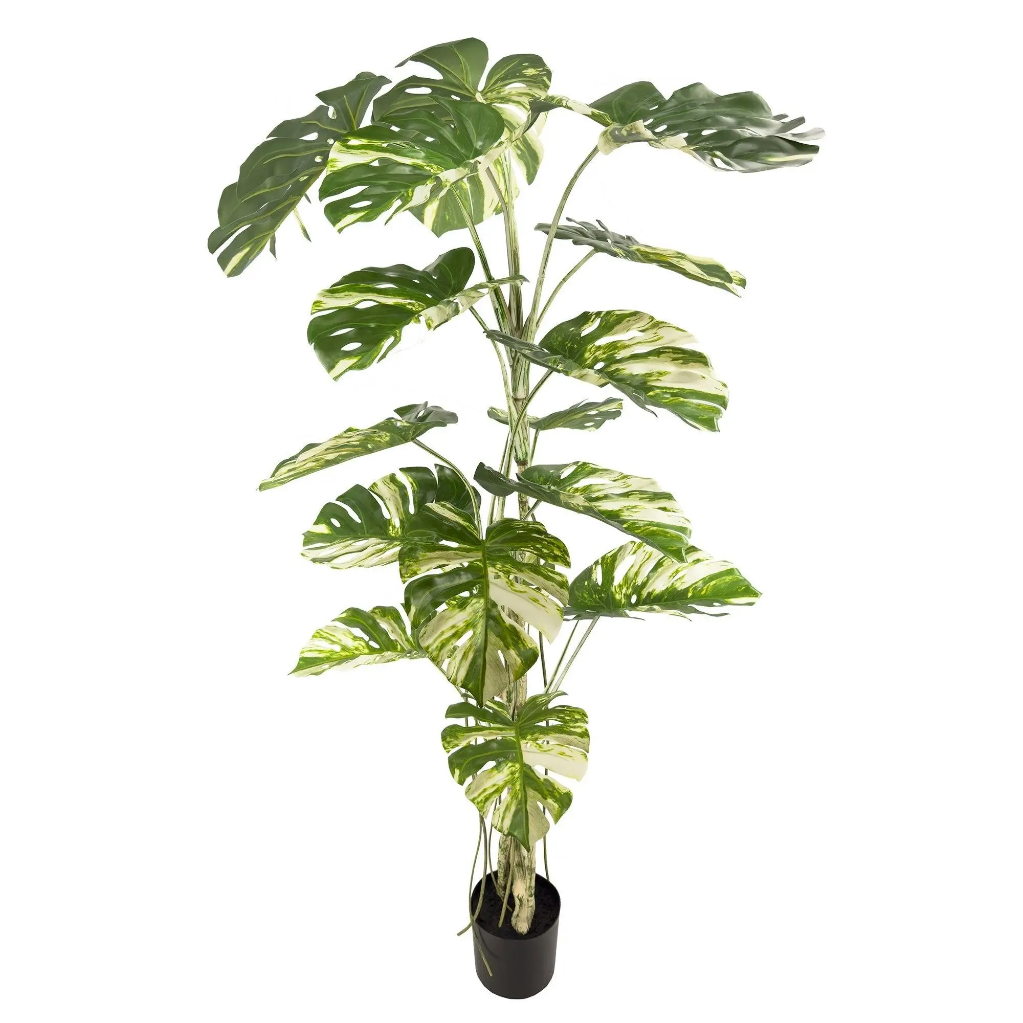 Monstera Deliciosa Artificial Variegated Plant - 180cm