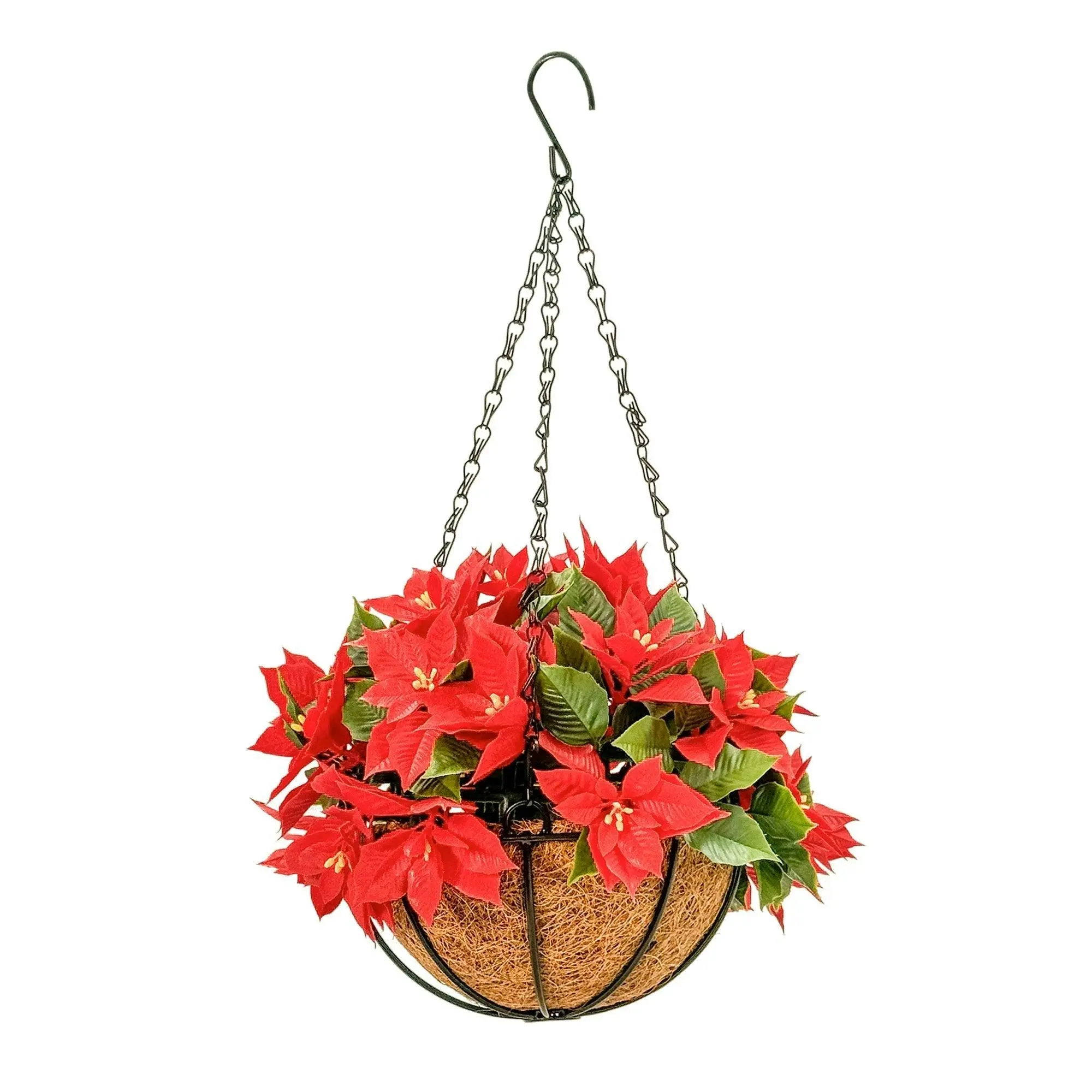 Hanging Basket - Poinsettia - Red 33cm Outdoor