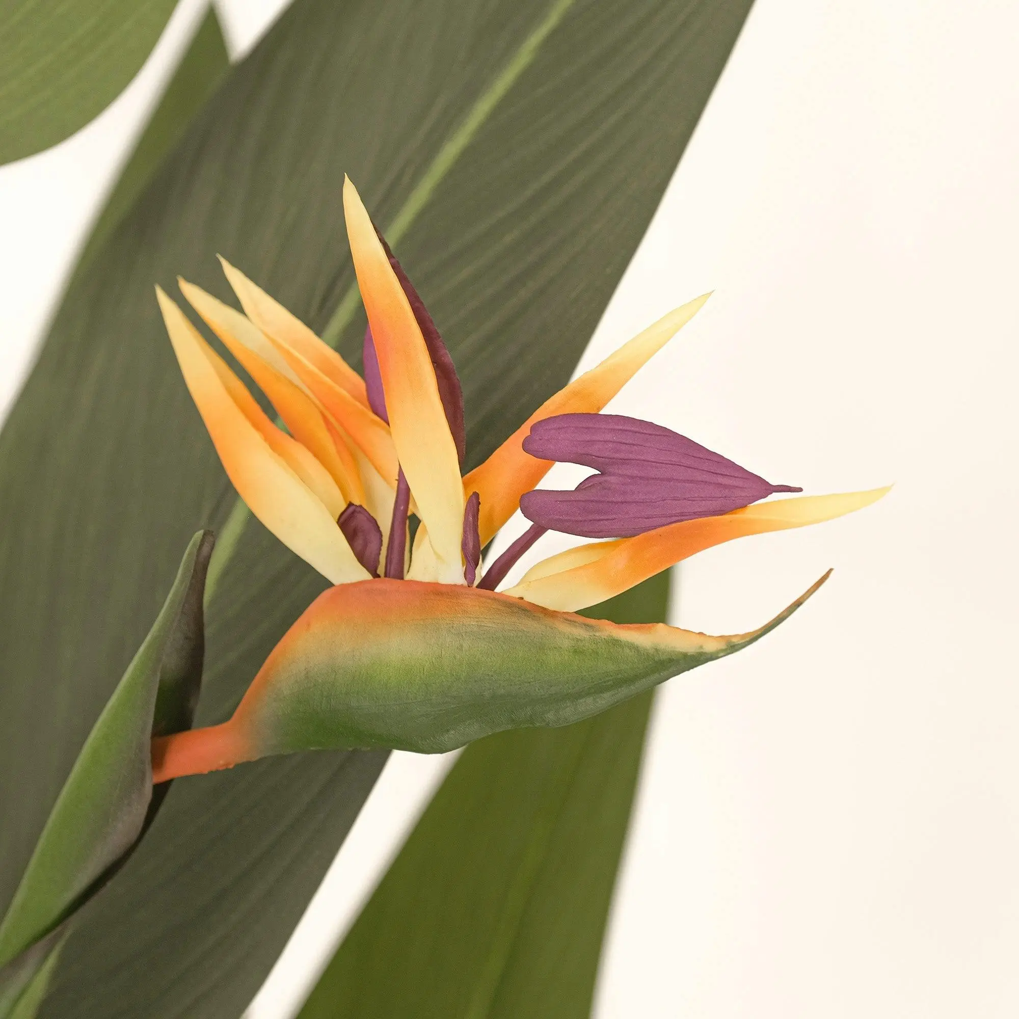 Flowering Faux Bird of Paradise - 150cm tall