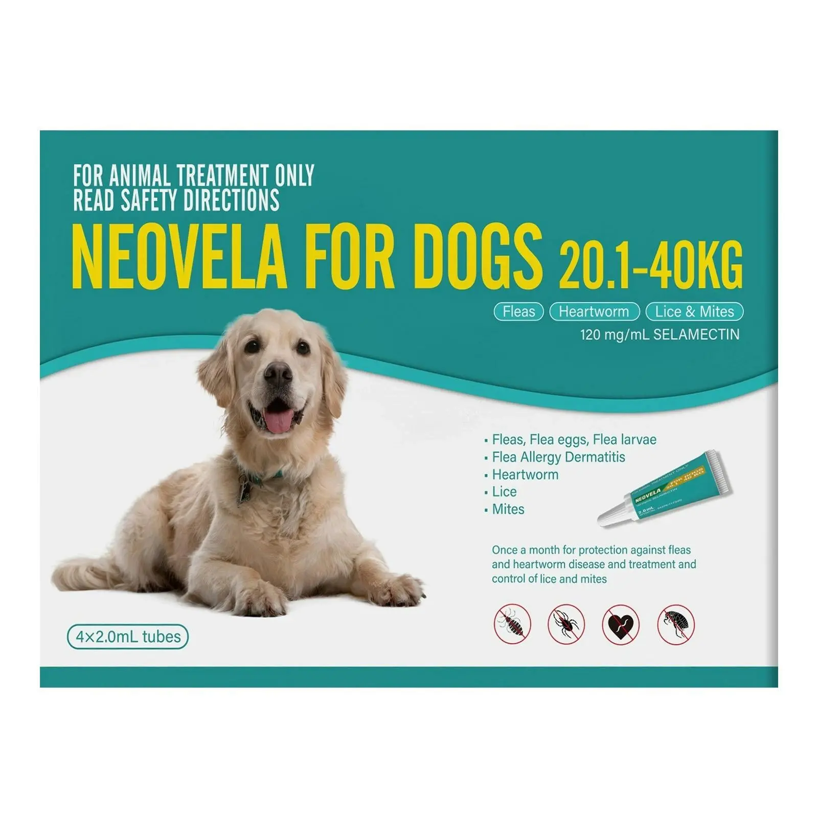 Neovela for Large Dogs 20.1 to 40 Kg (TEAL) 4 Pack - Pets