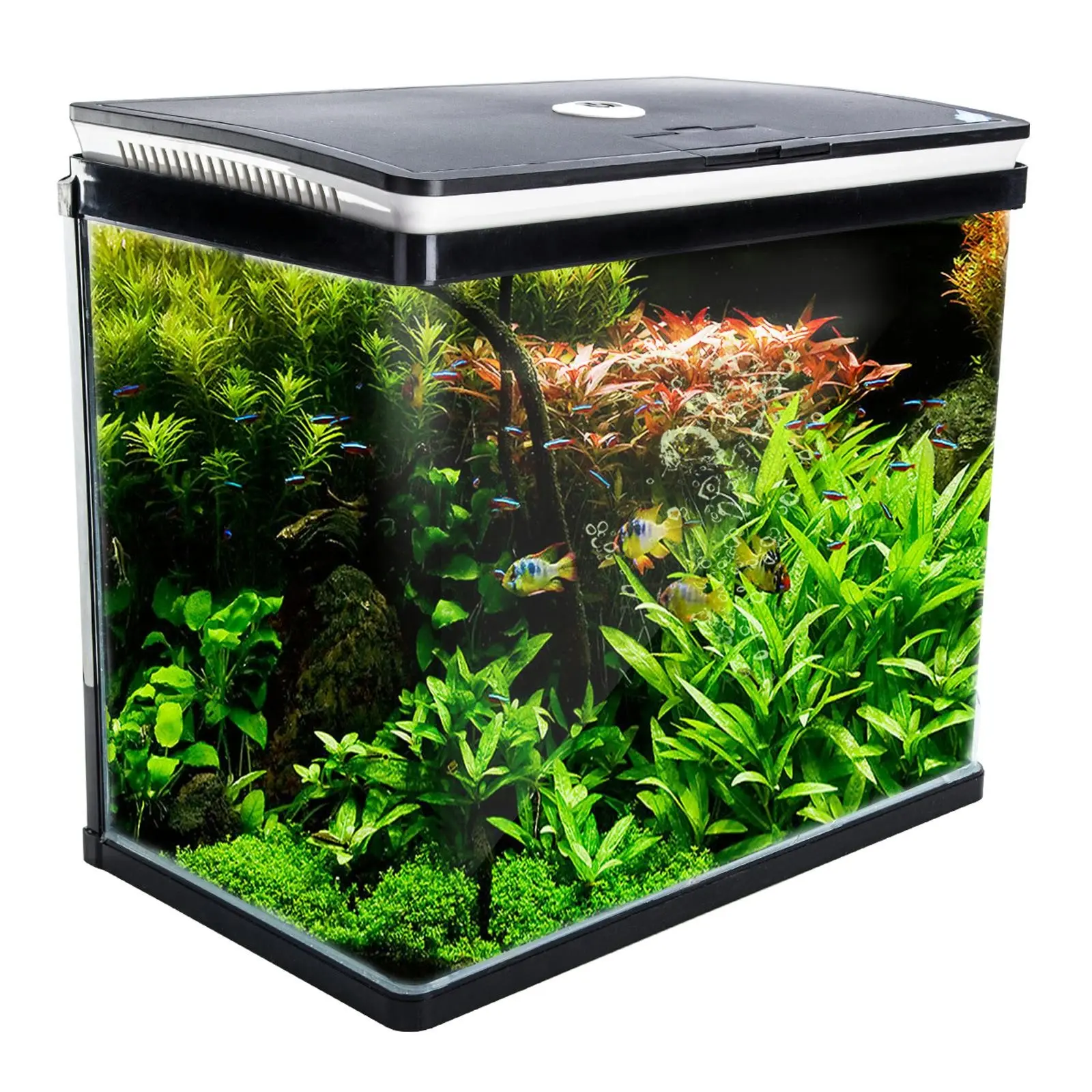 52L Curved Glass RGB LED Aquarium Fish Tank - Pets