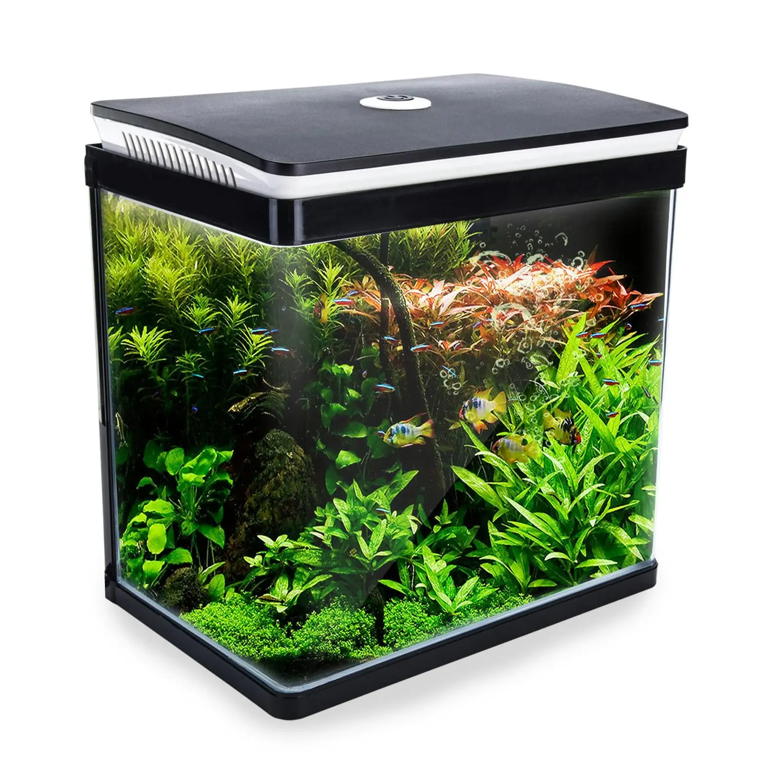 30L Curved Glass RGB LED Aquarium Fish Tank - Pets