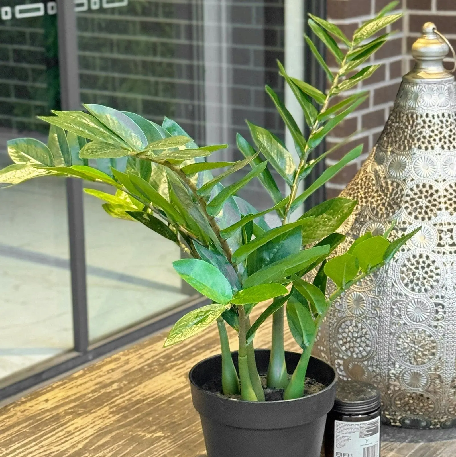 Artificial ZZ / Zanzibar Plant - 55cm