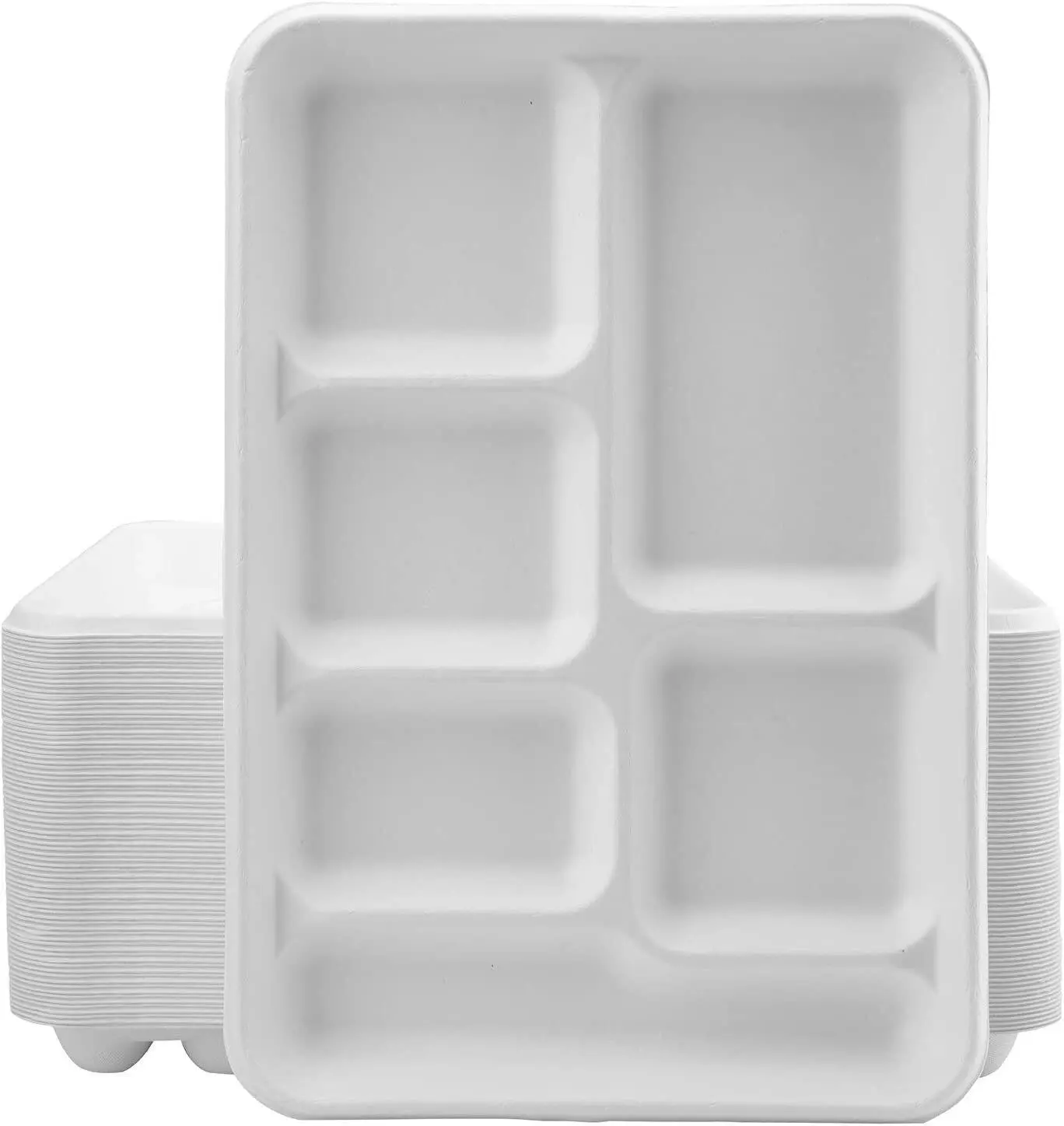 240pcs Sugarcane Bagasse 6 Compartment Lunch Paper Tray Plates 32x22cm (12.5" x 8.6") Bulk - Commercial
