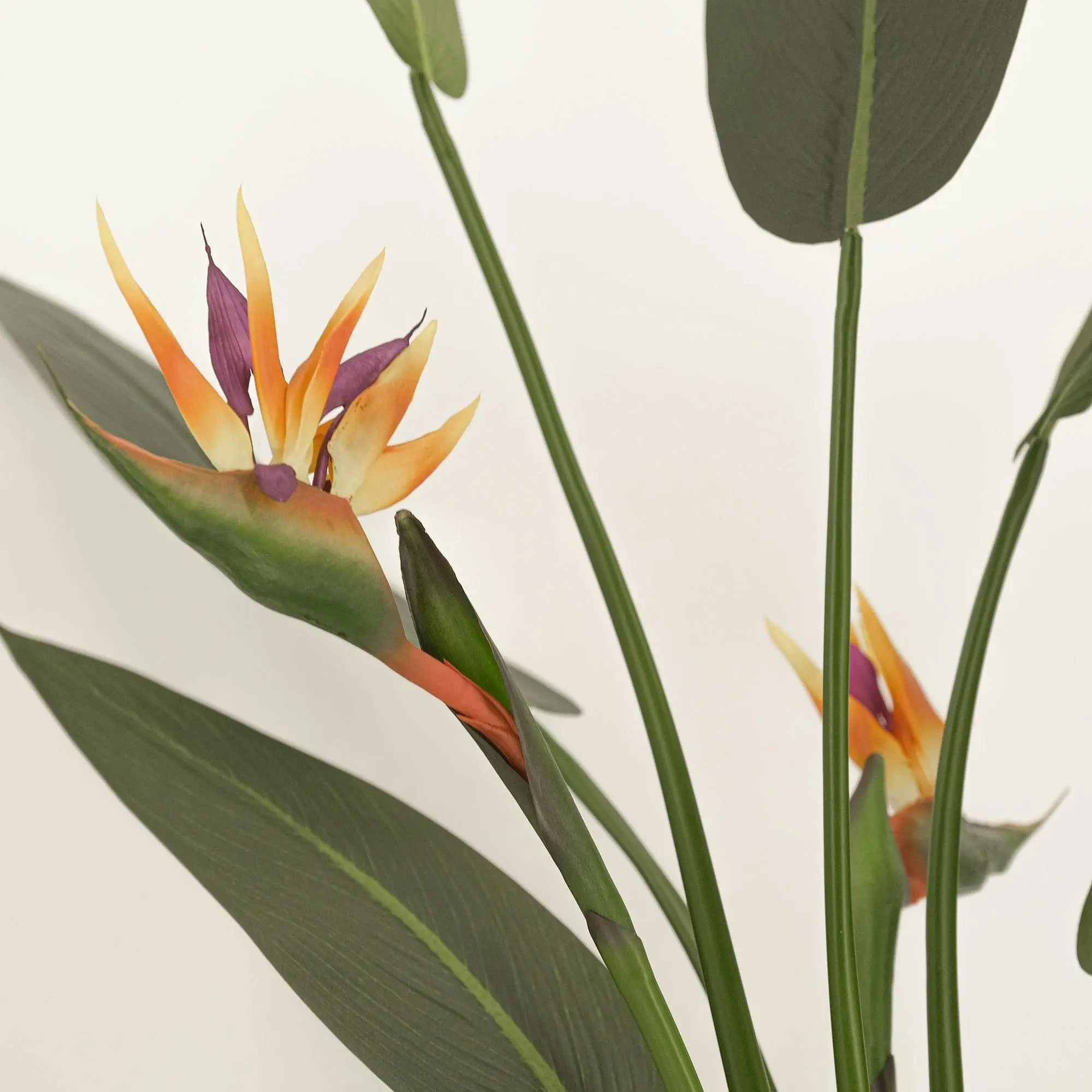 Flowering Bird of Paradise Artificial - 120cm tall