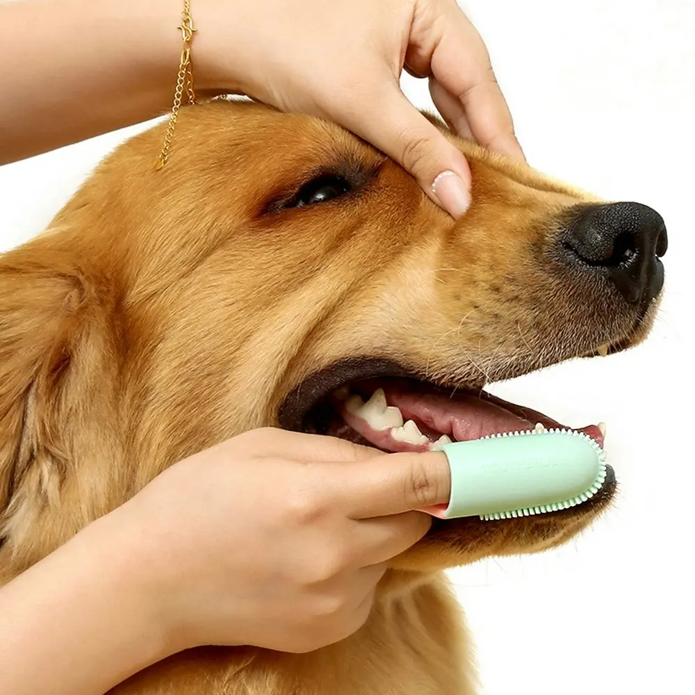 3Pcs Pet Soft Tooth Cleaning Care Finger Wrap Cat Dog Cleaning Toothbrush - Pets