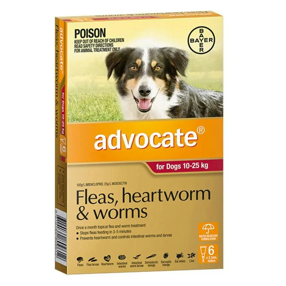 ADVOCATE for Dogs For Large Dogs 10 To 25Kg (Red) 12 Pipettes - Pets