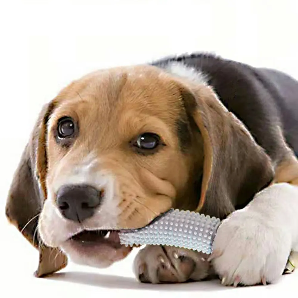 Pet molar stick toy for small to medium sized dogs - Pets